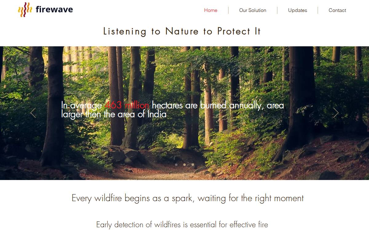 Firewave website preview