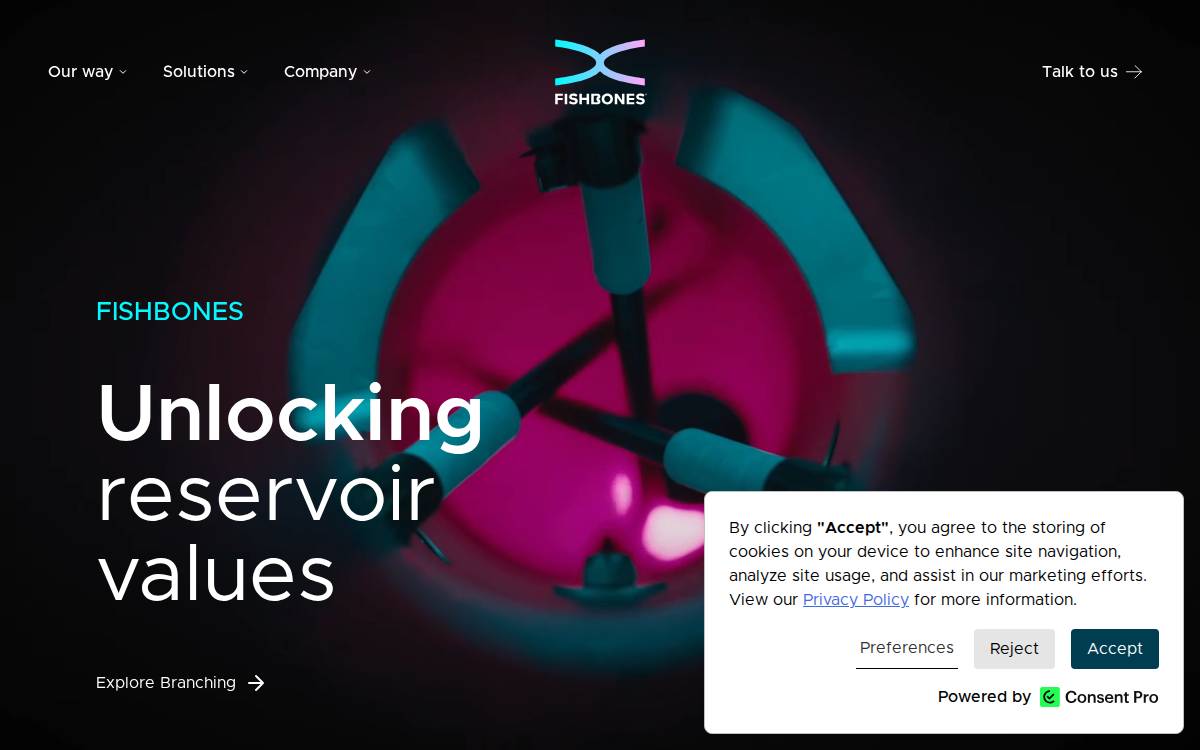Fishbones website preview