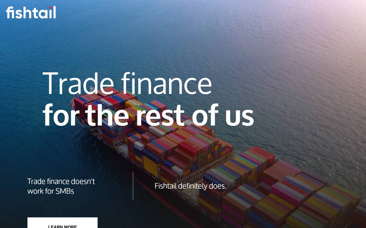Fishtail website preview