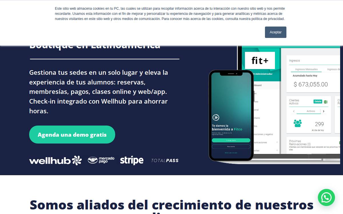 Fitco website preview
