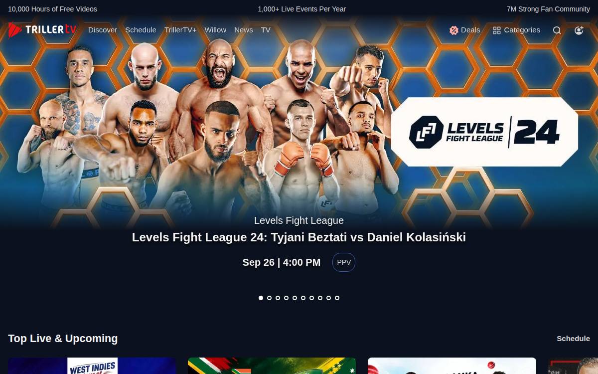 Fite website preview