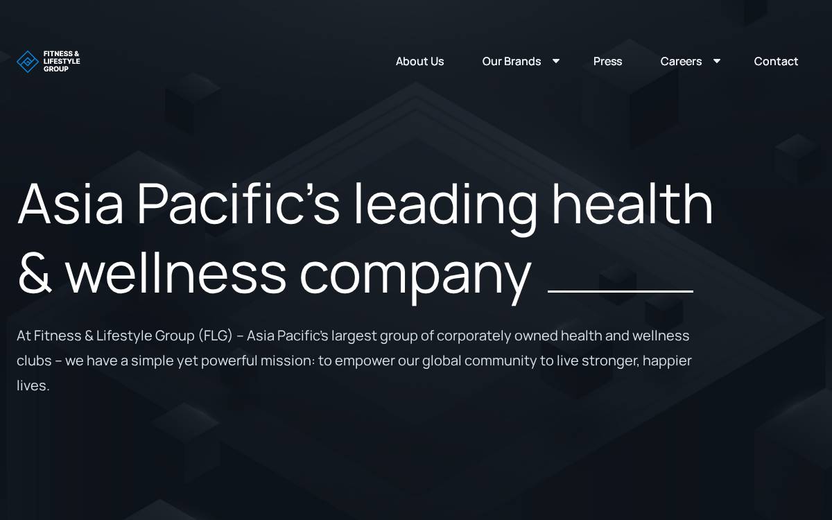 Fitlg website preview