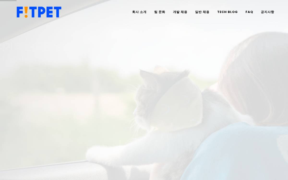 Fitpet website preview