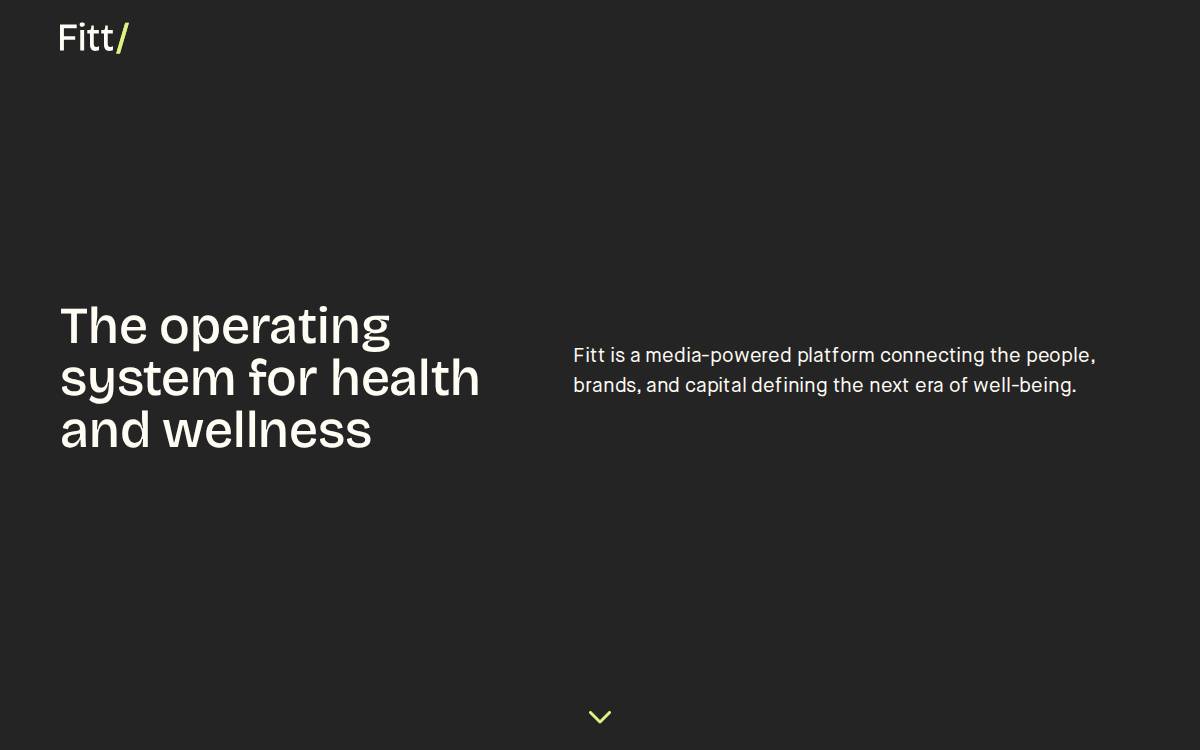Fitt website preview