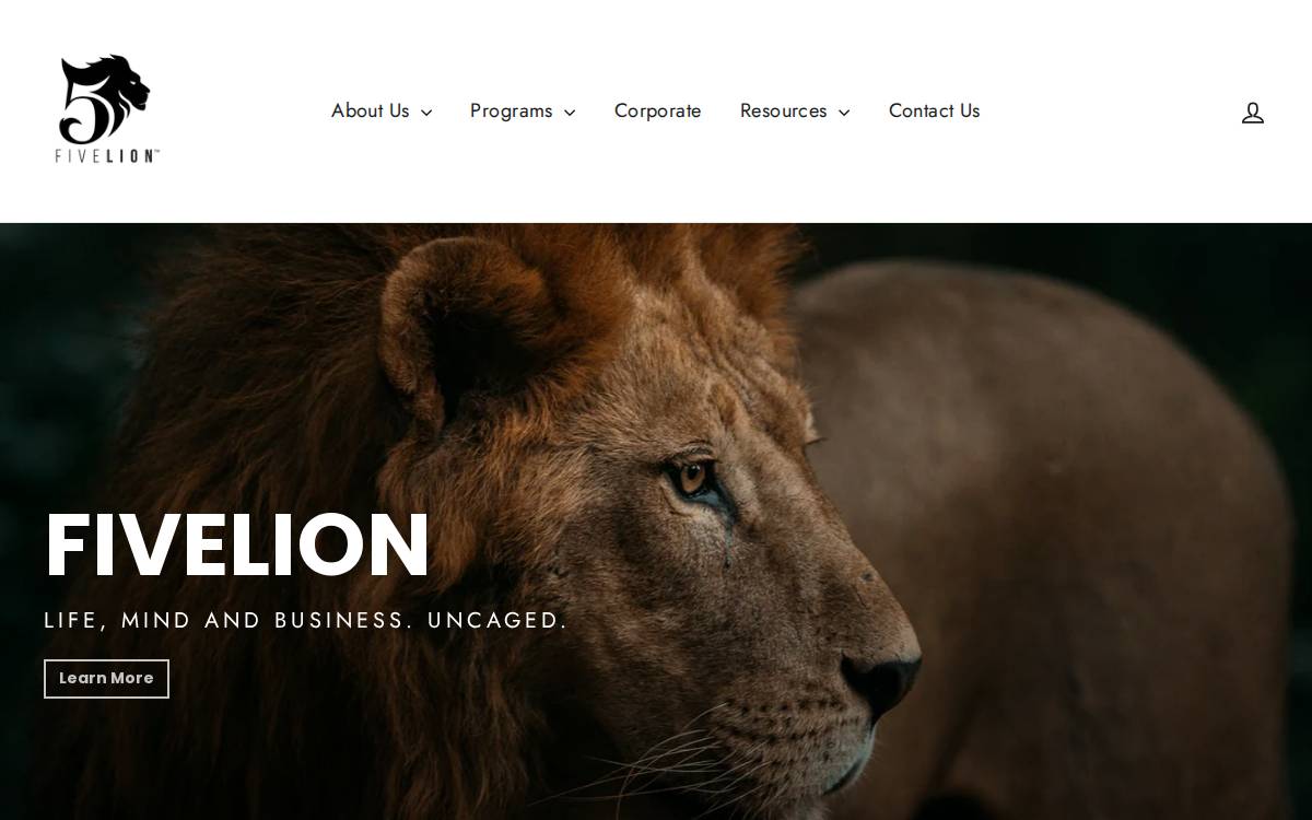 FiveLion Website website preview