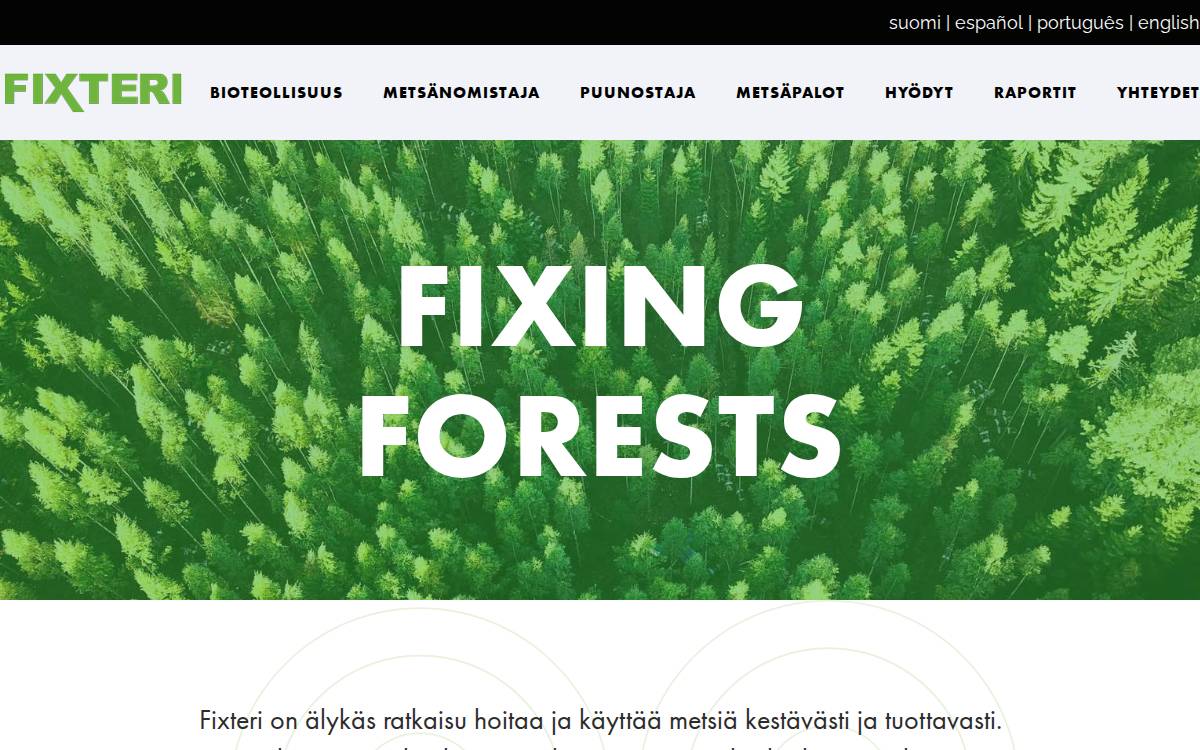 Fixteri website preview