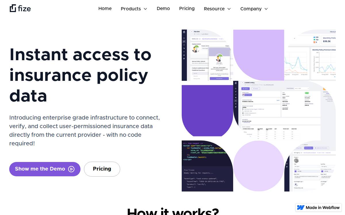 Fize website preview
