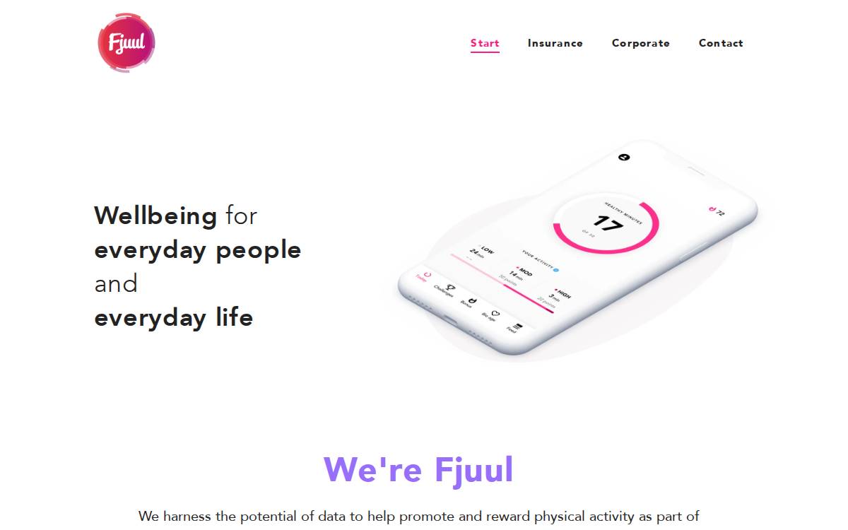Fjuul website preview