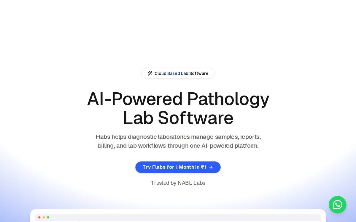 Flabslis website preview