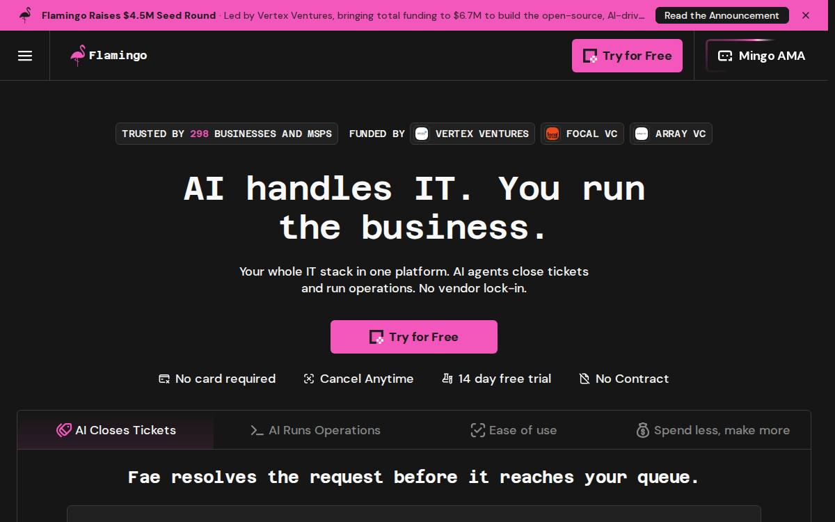 Flamingo website preview