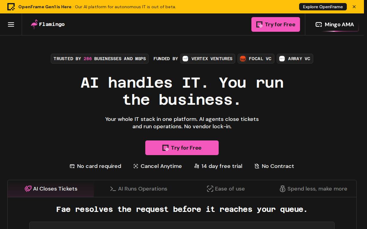 Flamingo website preview