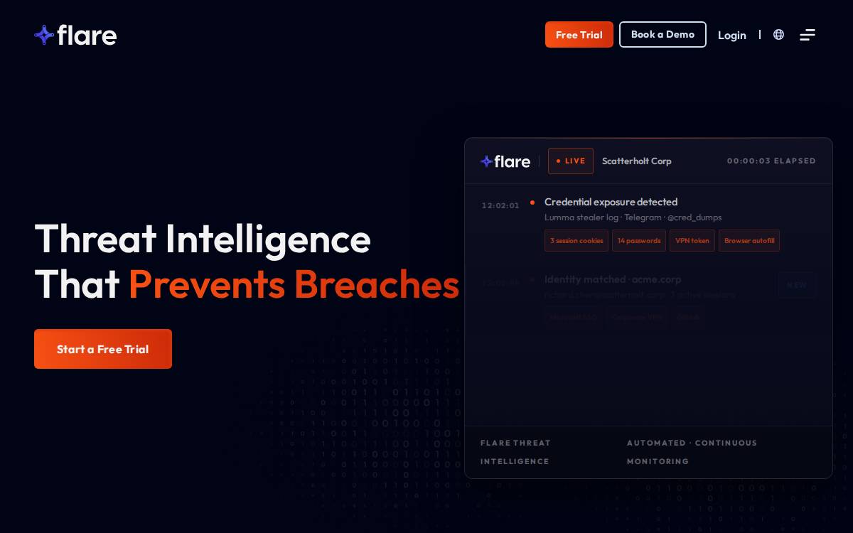 Flare Systems website preview