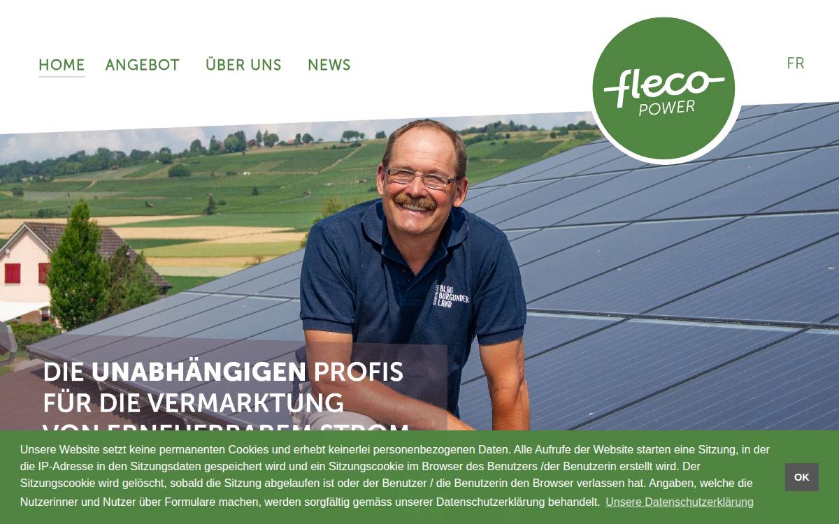 Fleco Power website preview