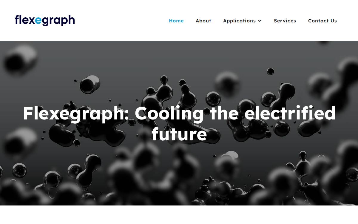 Flexegraph website preview