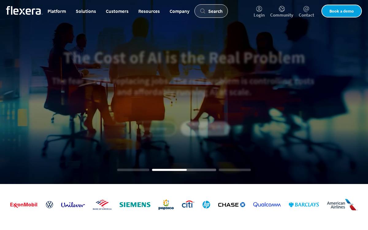 Flexera website preview