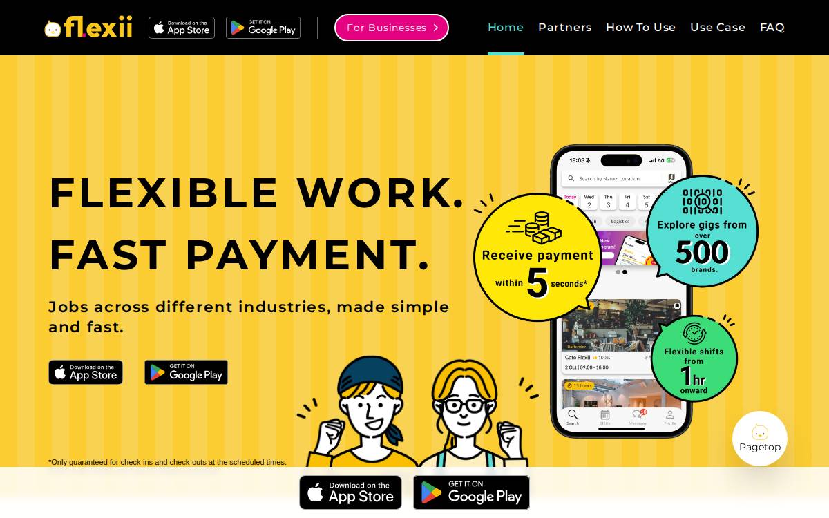FLEXII website preview