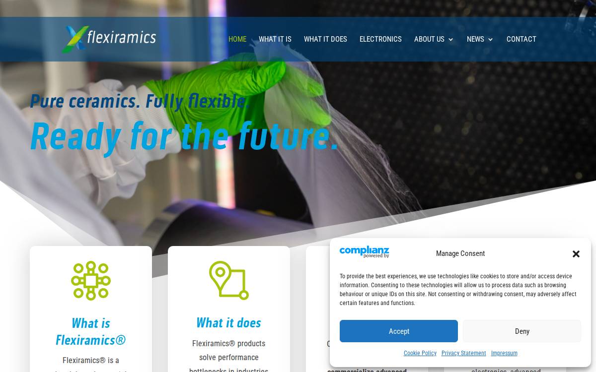 Flexiramics website preview