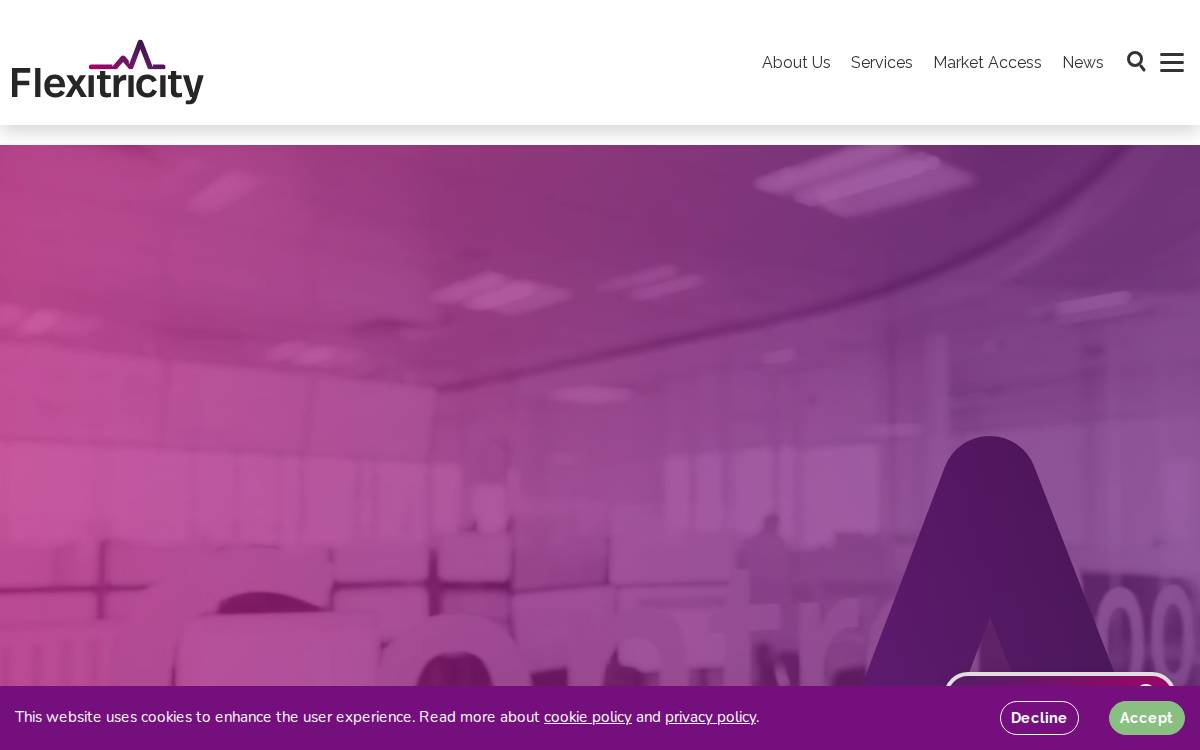 Flexitricity website preview