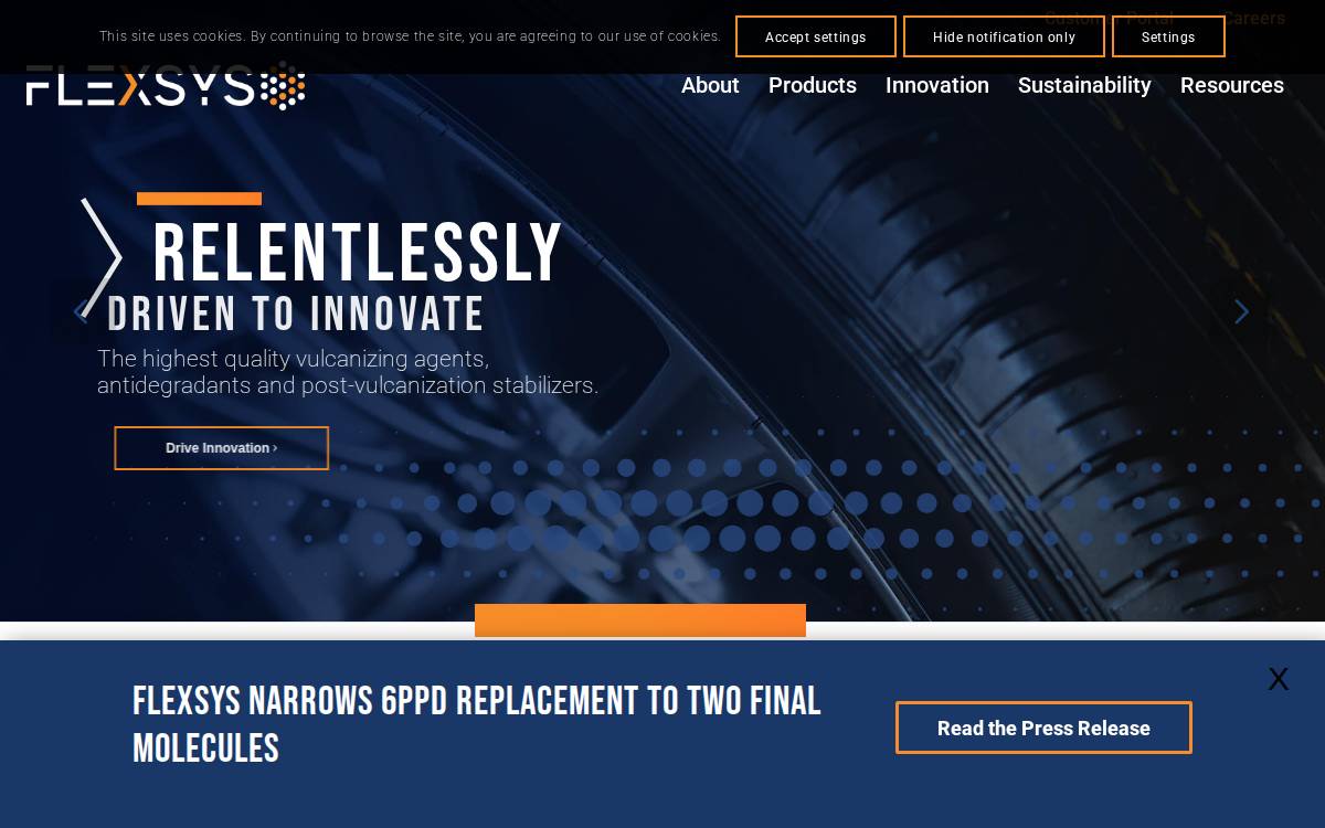 Flexsys website preview