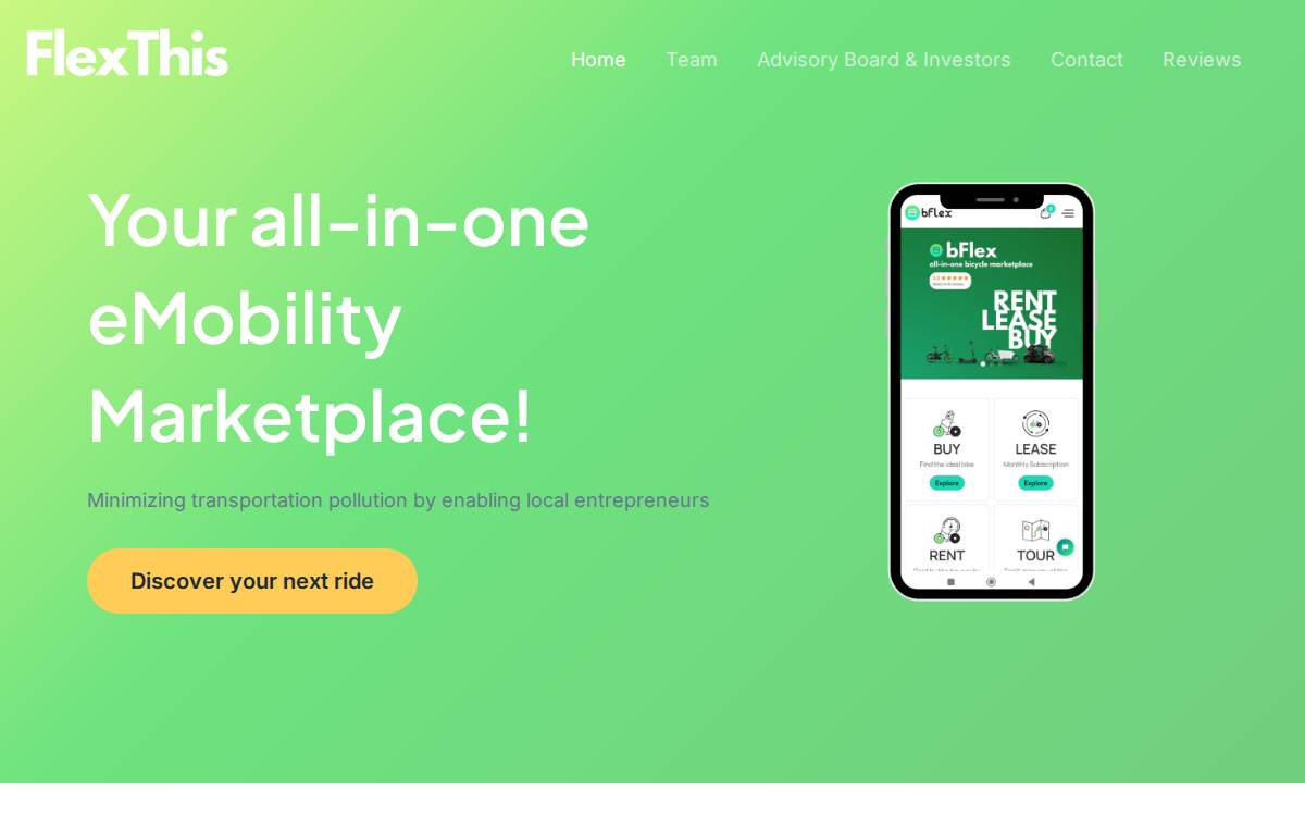 FlexThis website preview