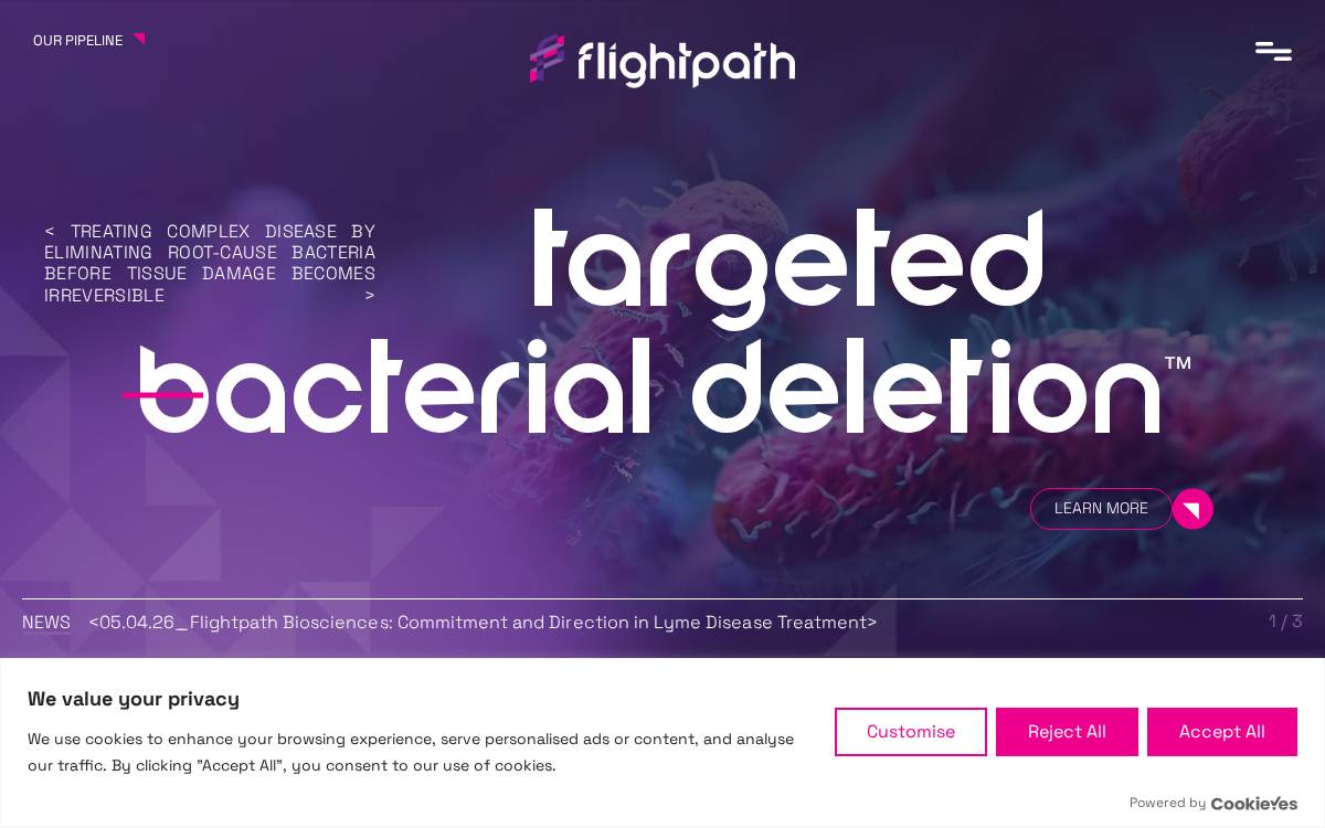 Flightpath website preview