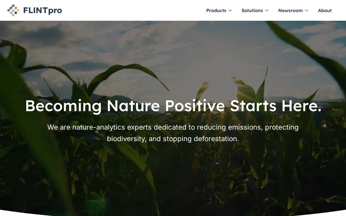 FLINTpro website preview