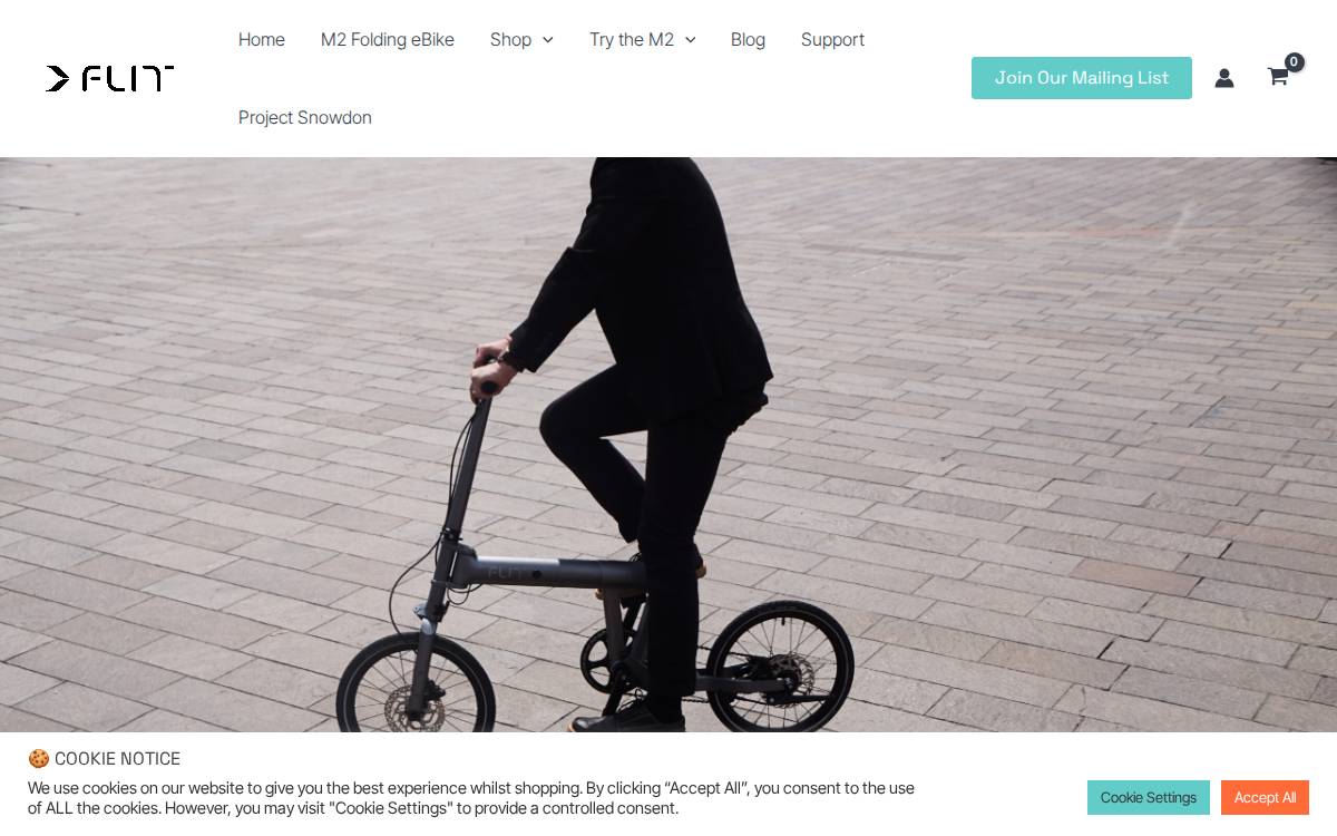 FLIT website preview