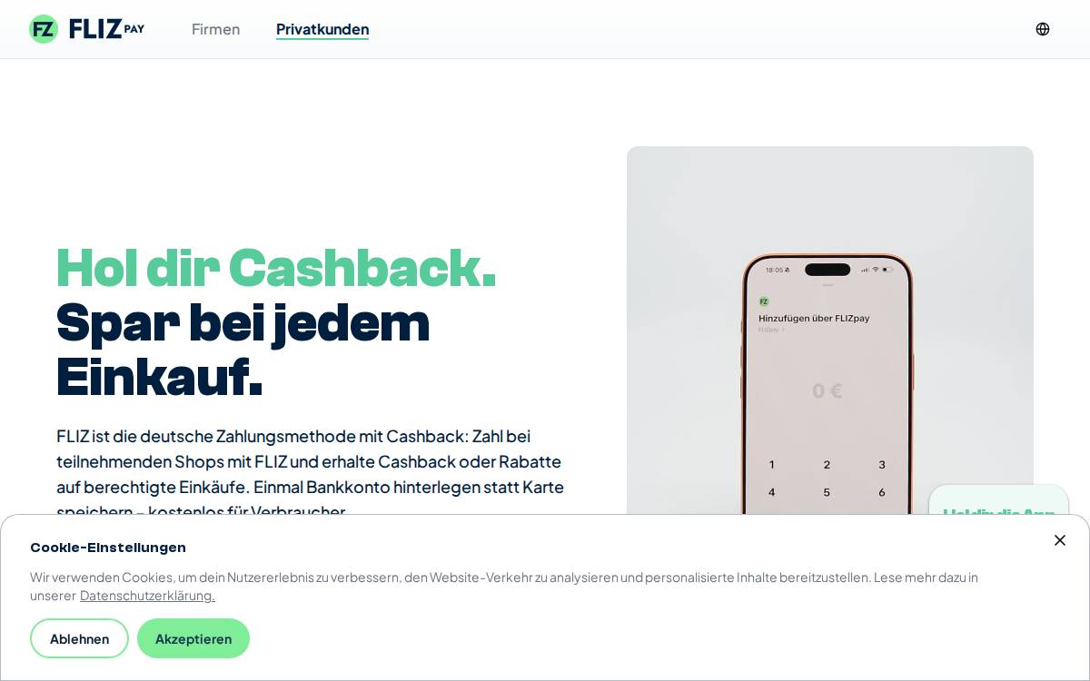 FLIZpay website preview
