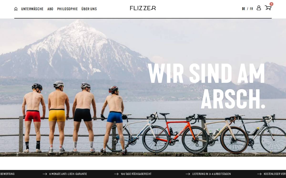 Flizzer website preview