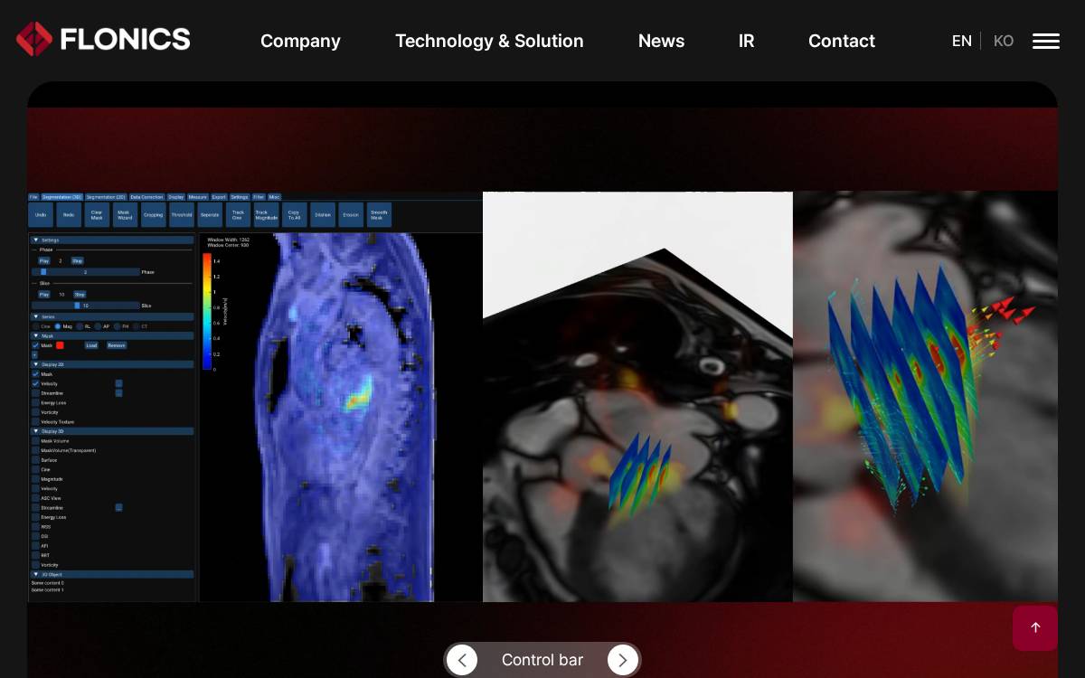 Flonics website preview