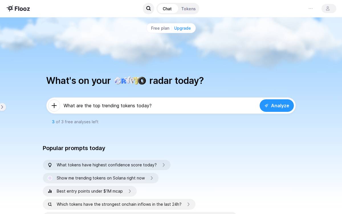 Flooz website preview