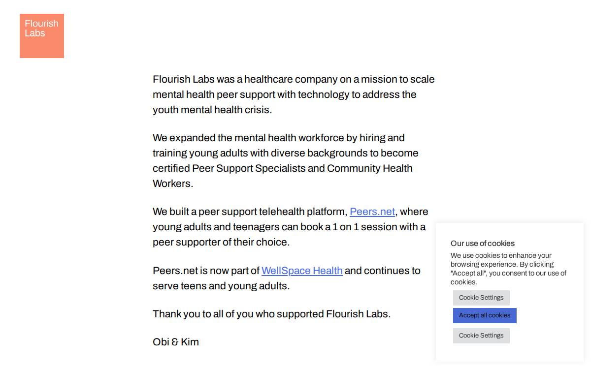 Flourish Labs website preview