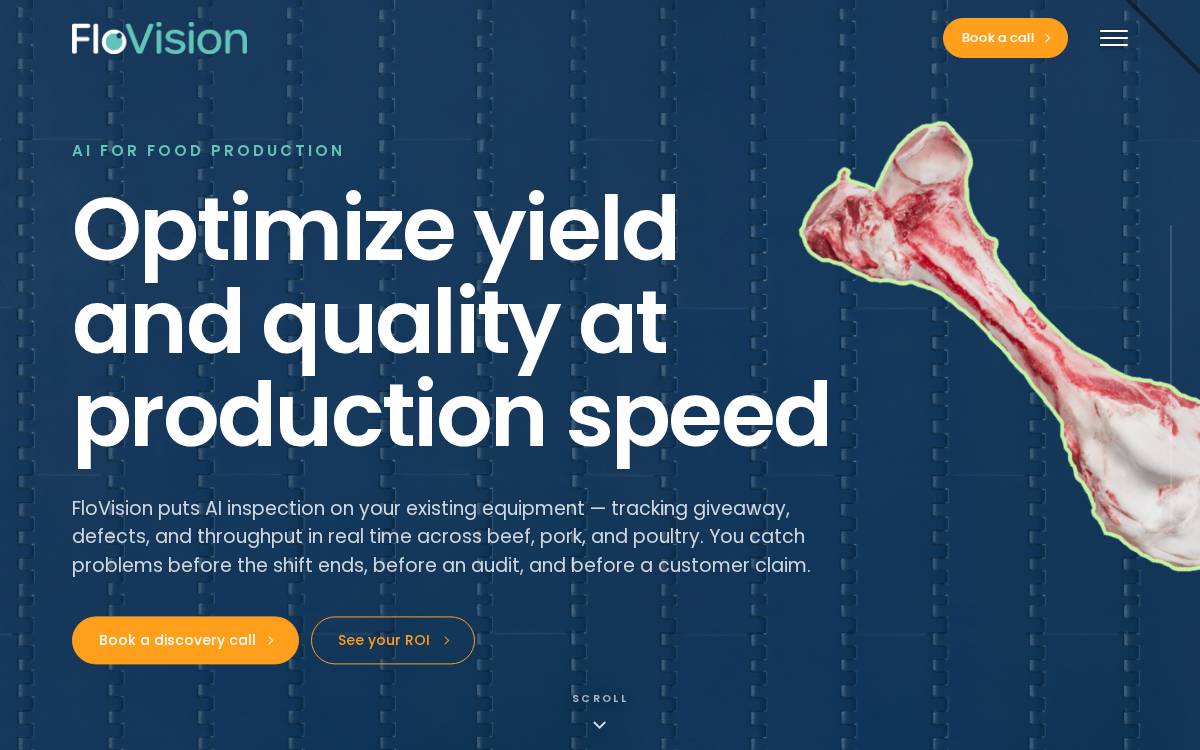 FloVision website preview