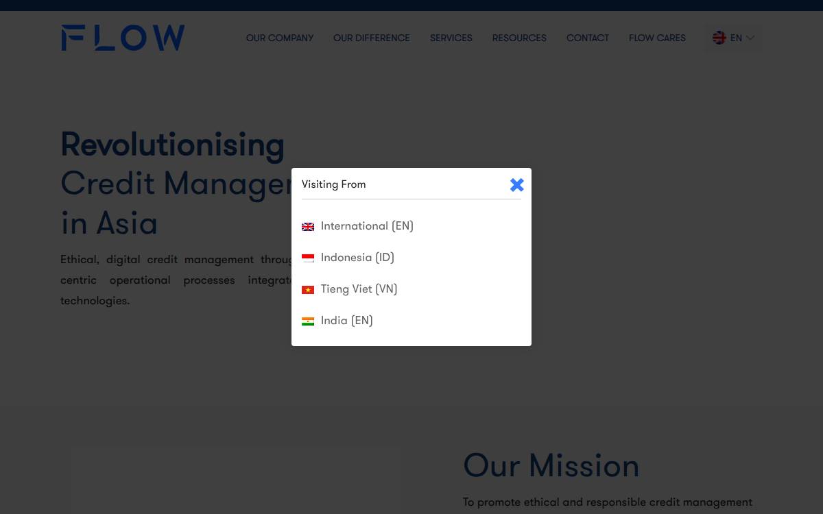 FLOW website preview
