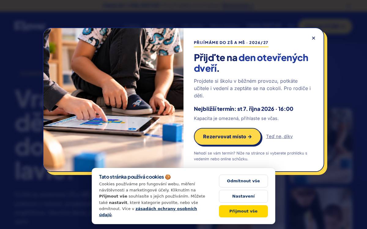 Flow website preview