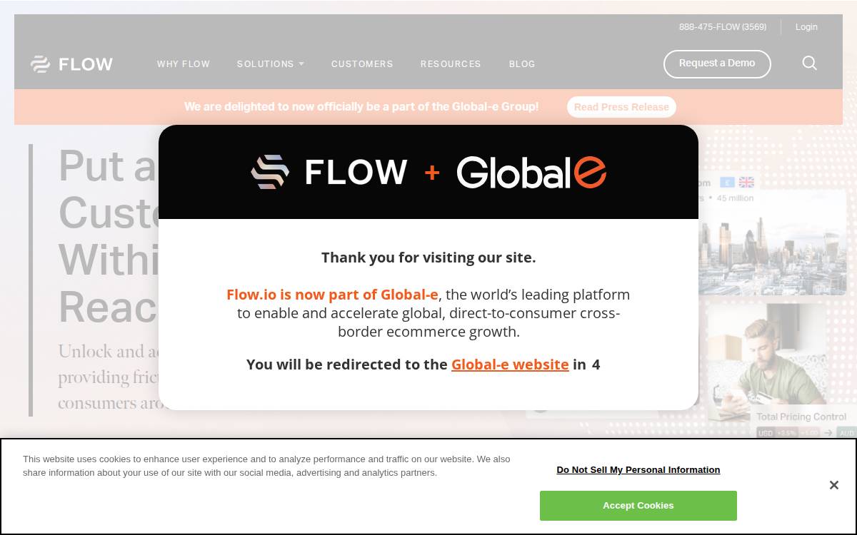 Flow website preview