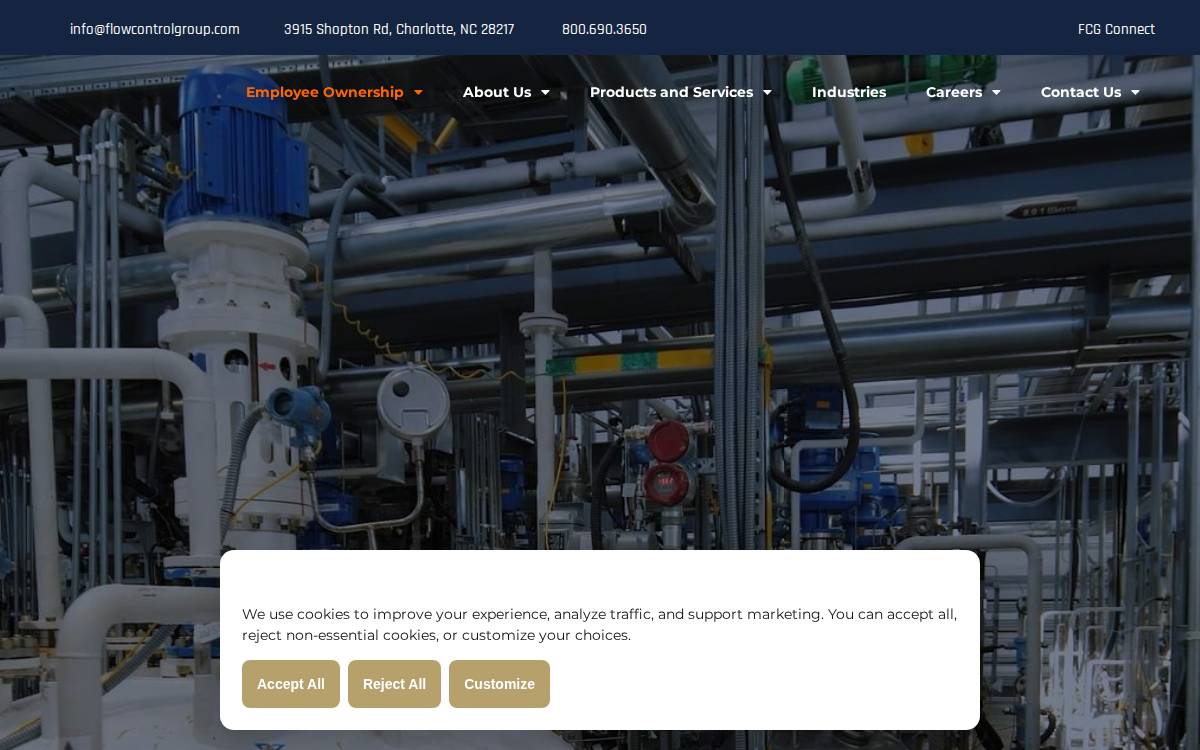 Flow Control Group website preview