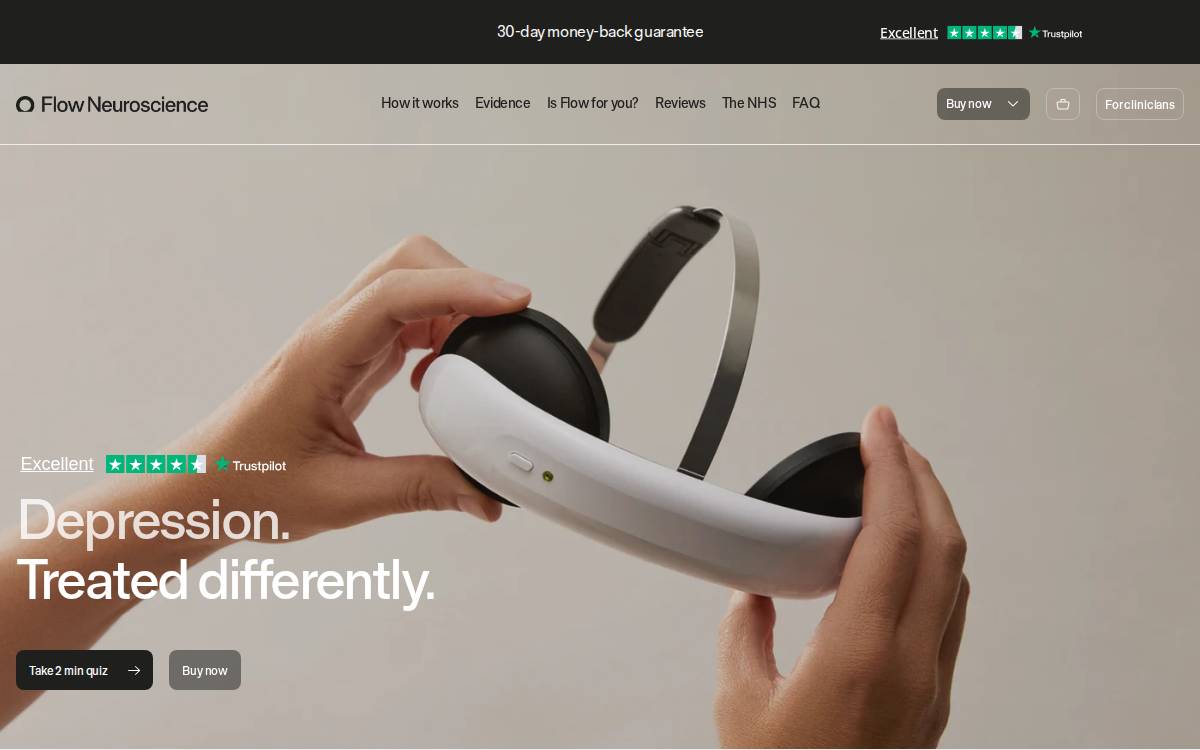 Flow Neuroscience website preview