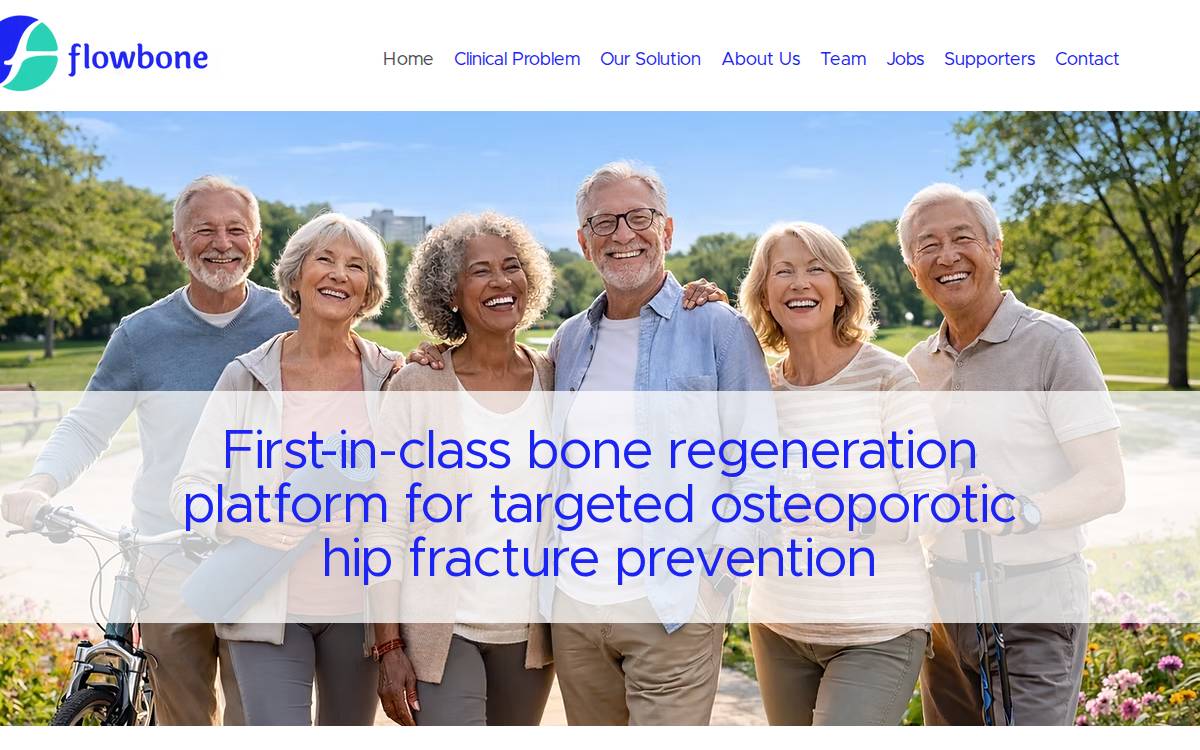 Flowbone website preview
