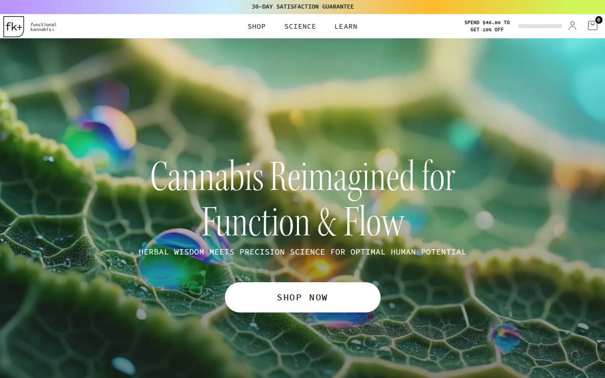 Flowkana website preview