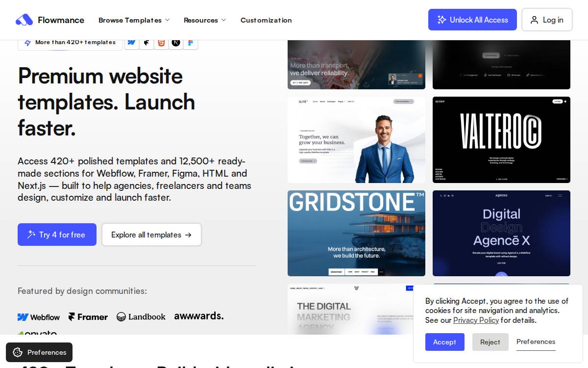Flowmance website preview