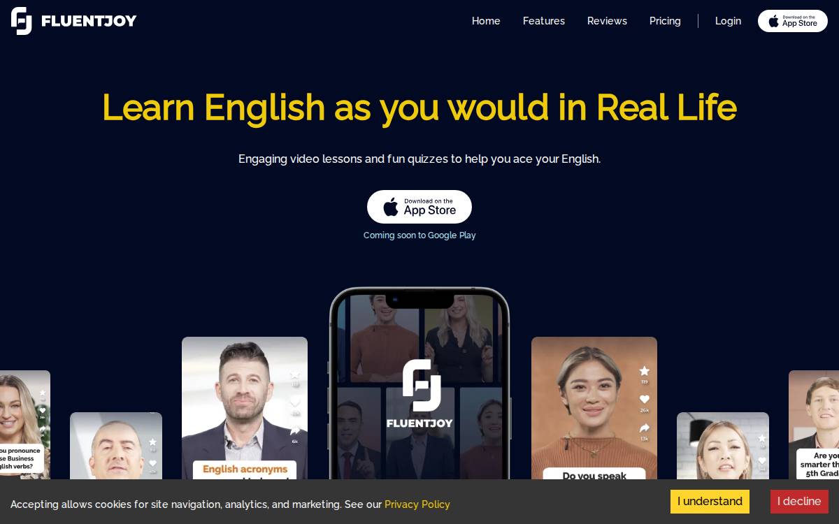Fluentjoy website preview