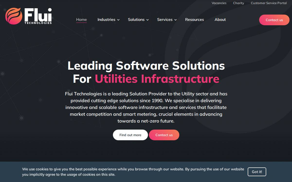 Flui website preview
