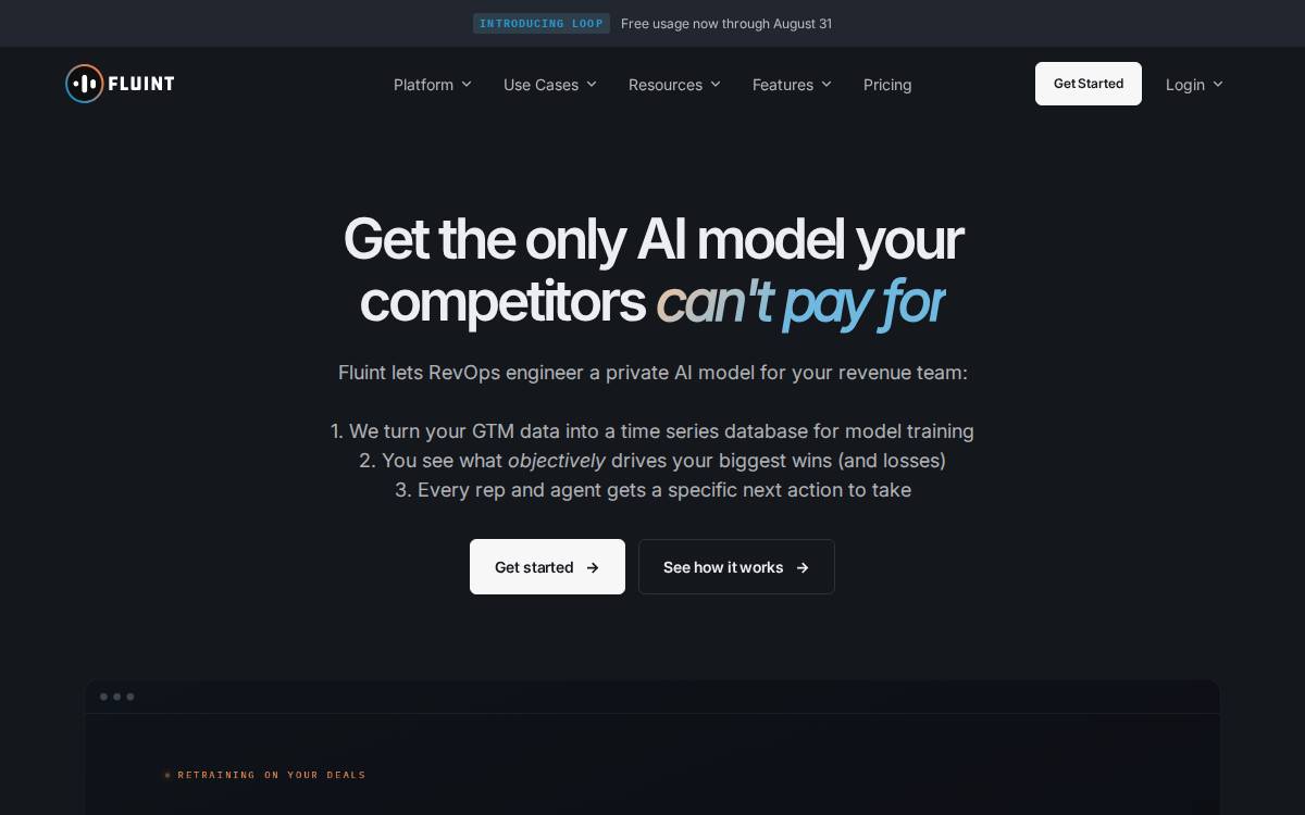 Fluint website preview
