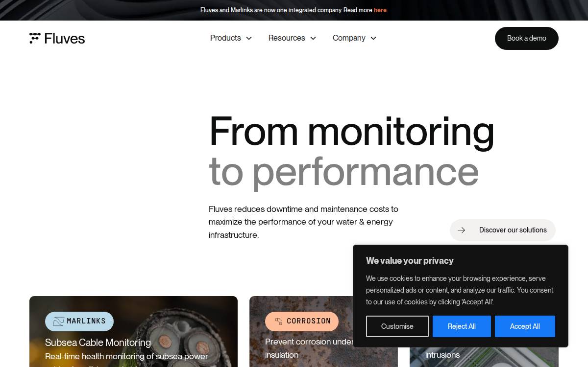 Fluves website preview