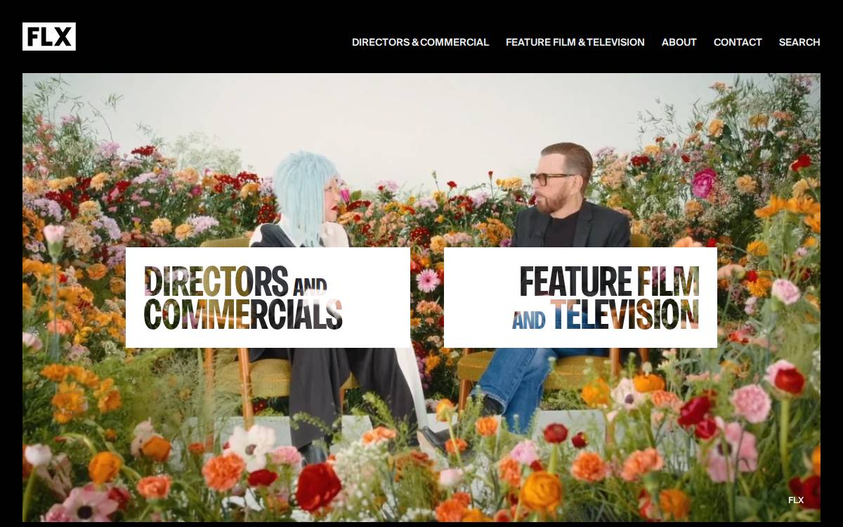Flx website preview