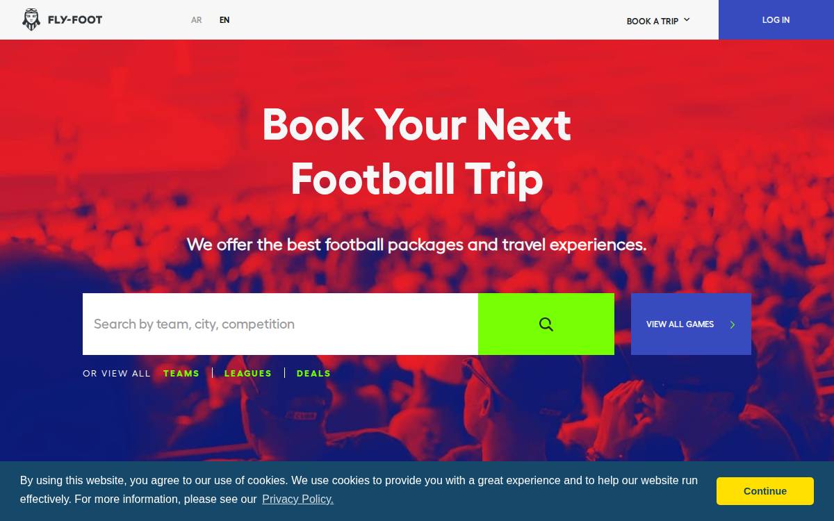 Fly Foot website preview