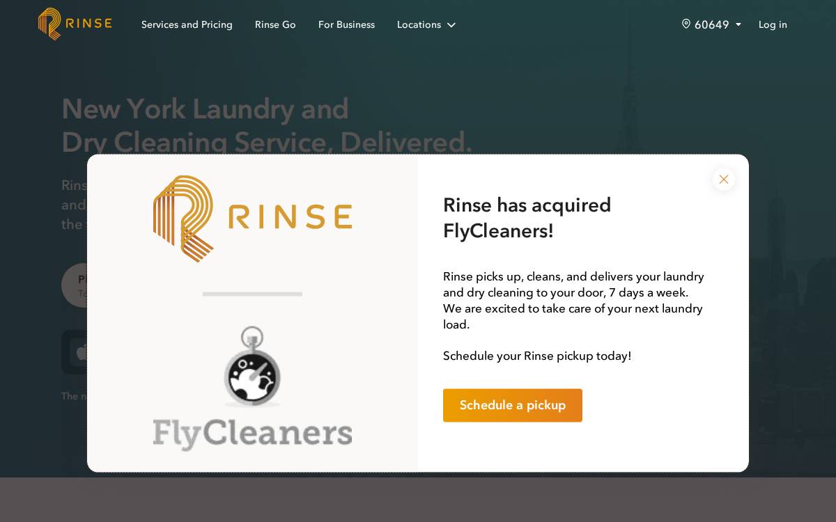 FlyCleaners website preview