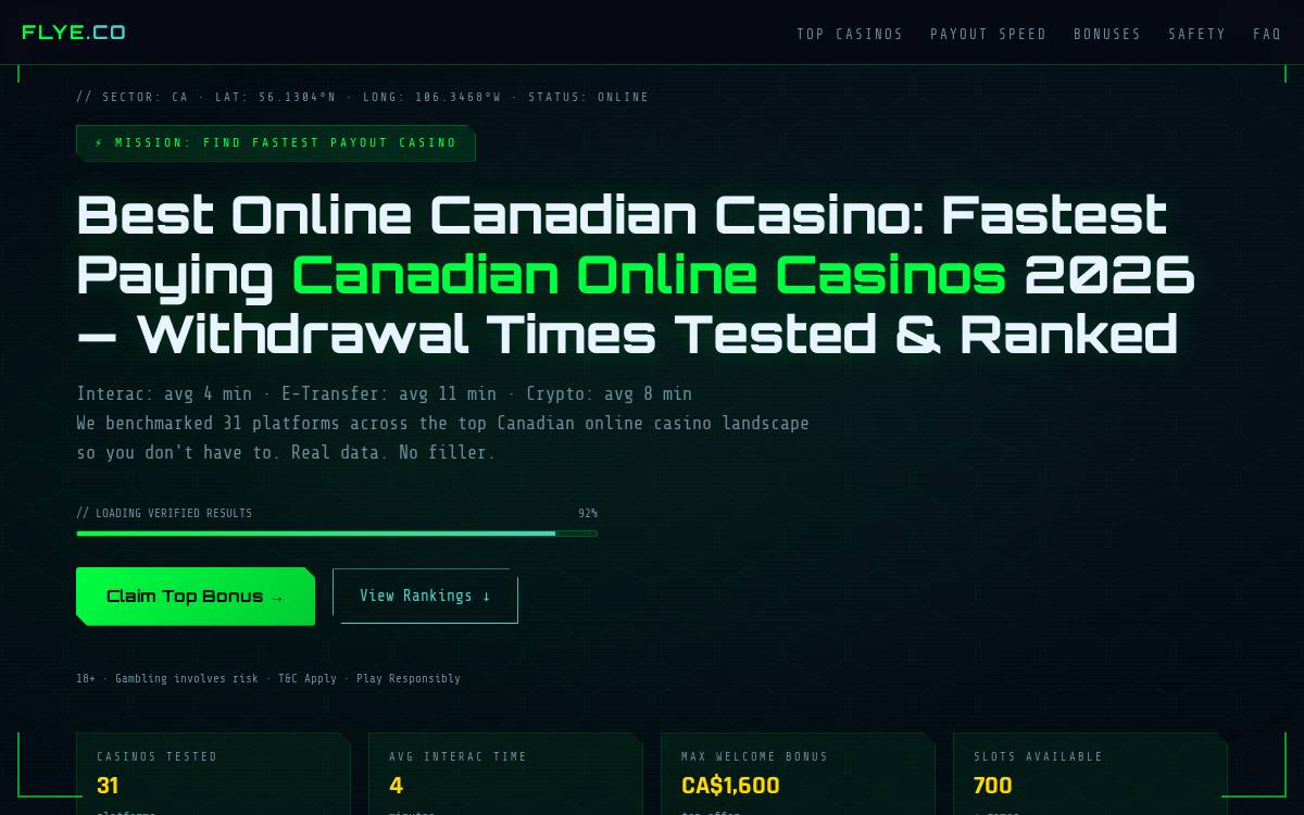 Flye website preview