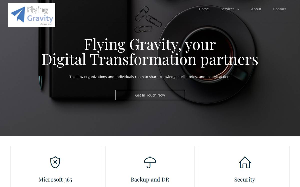 Flying Gravity website preview